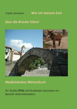 Wie ich meinen Esel über die Brücke führe