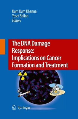 The DNA Damage Response: Implications on Cancer Formation and Treatment