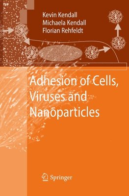 Adhesion of Cells, Viruses and Nanoparticles