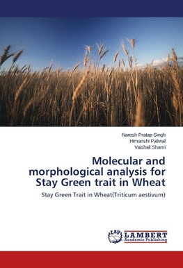 Molecular and morphological analysis for Stay Green trait in Wheat