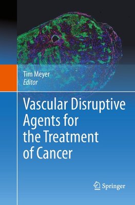 Vascular Disruptive Agents for the Treatment of Cancer