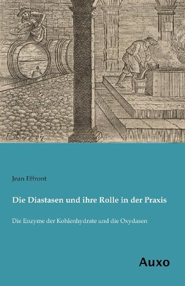 Die Diastasen und ihre Rolle in der Praxis