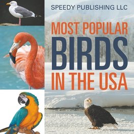 Most Popular Birds In The USA