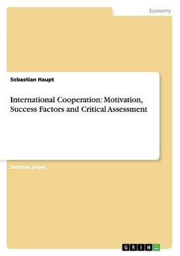 International Cooperation: Motivation, Success Factors and Critical Assessment