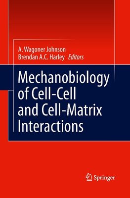 Mechanobiology of Cell-Cell and Cell-Matrix Interactions