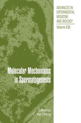 Molecular Mechanisms in Spermatogenesis