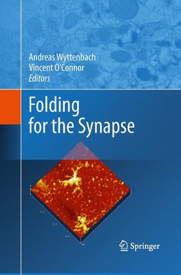 Folding for the Synapse