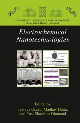 Electrochemical Nanotechnologies