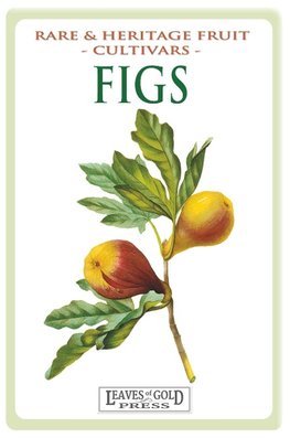 Thornton, C: Figs