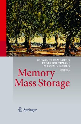 Memory Mass Storage