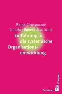 Einführung in die systemische Organisationsentwicklung