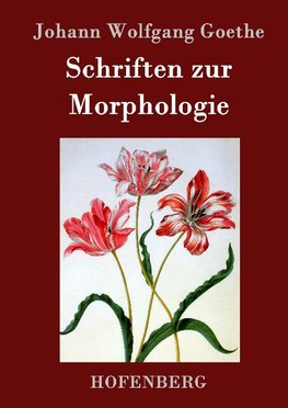 Schriften zur Morphologie