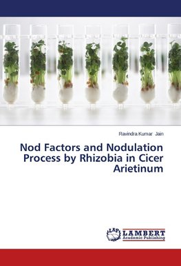 Nod Factors and Nodulation Process by Rhizobia in Cicer Arietinum