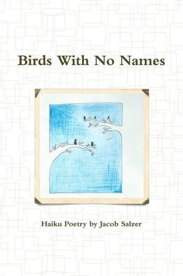 Birds With No Names