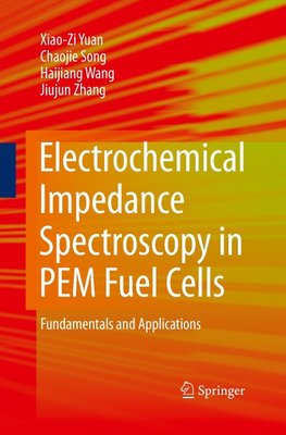 Electrochemical Impedance Spectroscopy in PEM Fuel Cells