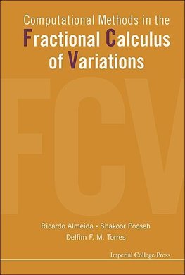 M, T:  Computational Methods In The Fractional Calculus Of V