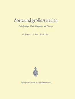 Aorta und große Arterien