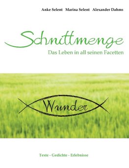 Schnittmenge Wunder