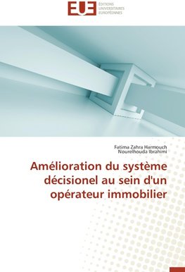 Amélioration du système décisionel au sein d'un opérateur immobilier