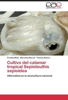 Cultivo del calamar tropical Sepioteuthis sepioidea