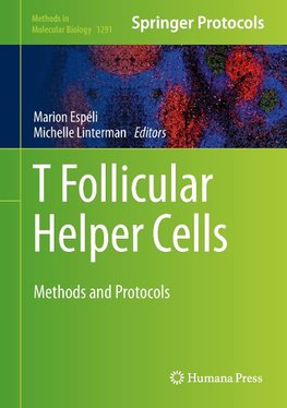 T follicular Helper Cells