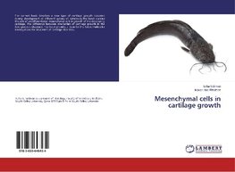 Mesenchymal cells in cartilage growth