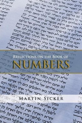 Reflections on the Book of Numbers