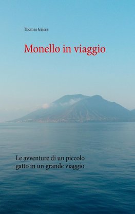 Monello in viaggio