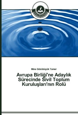 Avrupa Birligi'ne Adaylik Sürecinde Sivil Toplum Kuruluslari'nin Rolü