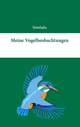 Meine Vogelbeobachtungen