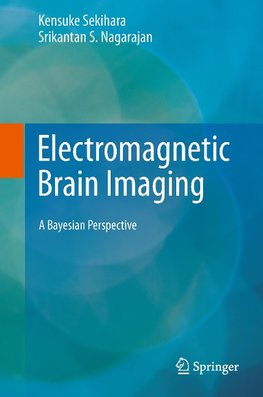 Electromagnetic Brain Imaging