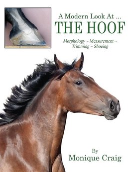 A Modern Look At ... THE HOOF