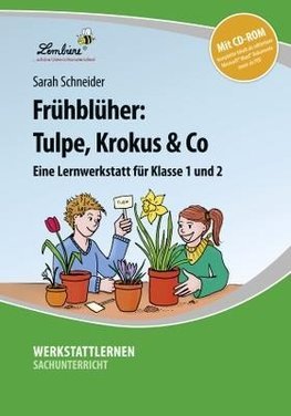 Frühblüher: Tulpe, Krokus & Co (Set)