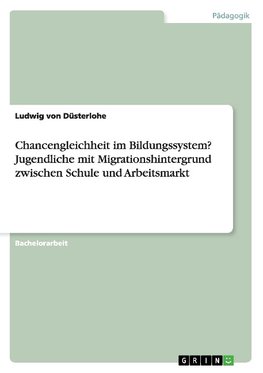 Chancengleichheit im Bildungssystem? Jugendliche mit Migrationshintergrund zwischen Schule und Arbeitsmarkt