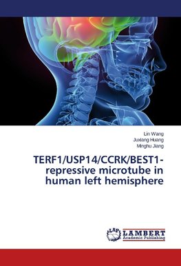 TERF1/USP14/CCRK/BEST1-repressive microtube in human left hemisphere