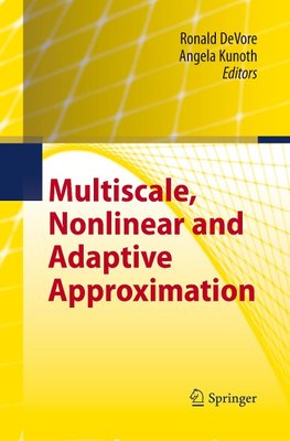 Multiscale, Nonlinear and Adaptive Approximation