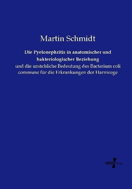 Die Pyelonephritis in anatomischer und bakteriologischer Beziehung