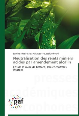 Neutralisation des rejets miniers acides par amendement alcalin