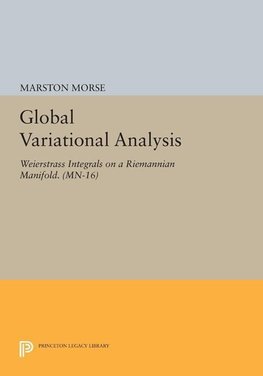 Global Variational Analysis