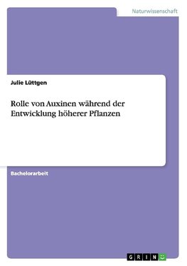 Rolle von Auxinen während der Entwicklung höherer Pflanzen