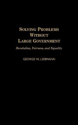 Solving Problems Without Large Government