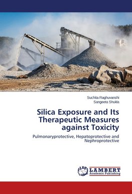 Silica Exposure and Its Therapeutic Measures against Toxicity