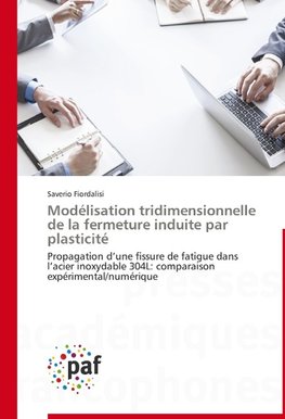 Modélisation tridimensionnelle de la fermeture induite par plasticité