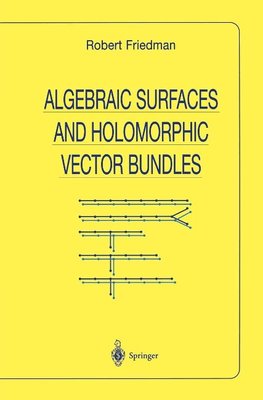 Algebraic Surfaces and Holomorphic Vector Bundles