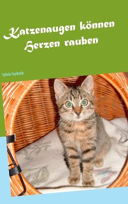 Katzenaugen können Herzen rauben