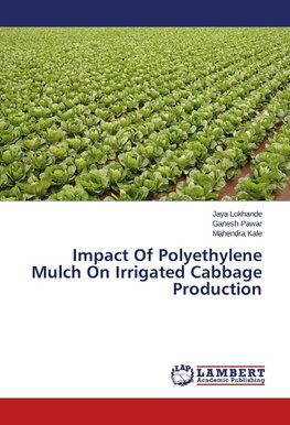 Impact Of Polyethylene Mulch On Irrigated Cabbage Production