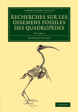 Recherches sur les ossemens fossiles des quadrupèdes - Volume             1