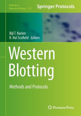 Western Blotting