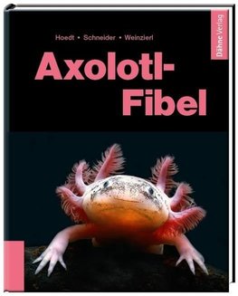 Axolotl-Fibel