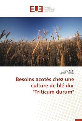 Besoins azotés chez une culture de blé dur "Triticum durum"